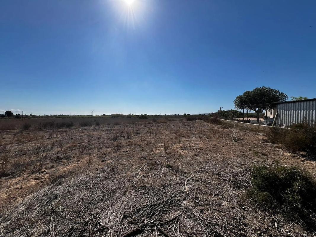 Land for sale in Elche / Elx, Alicante photo 1