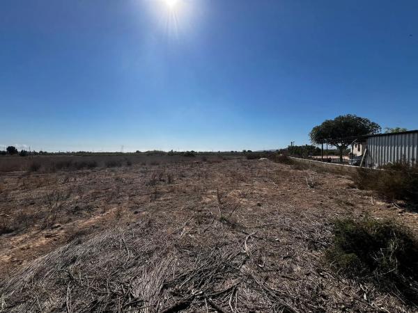 Terreno en Torrellano photo 1