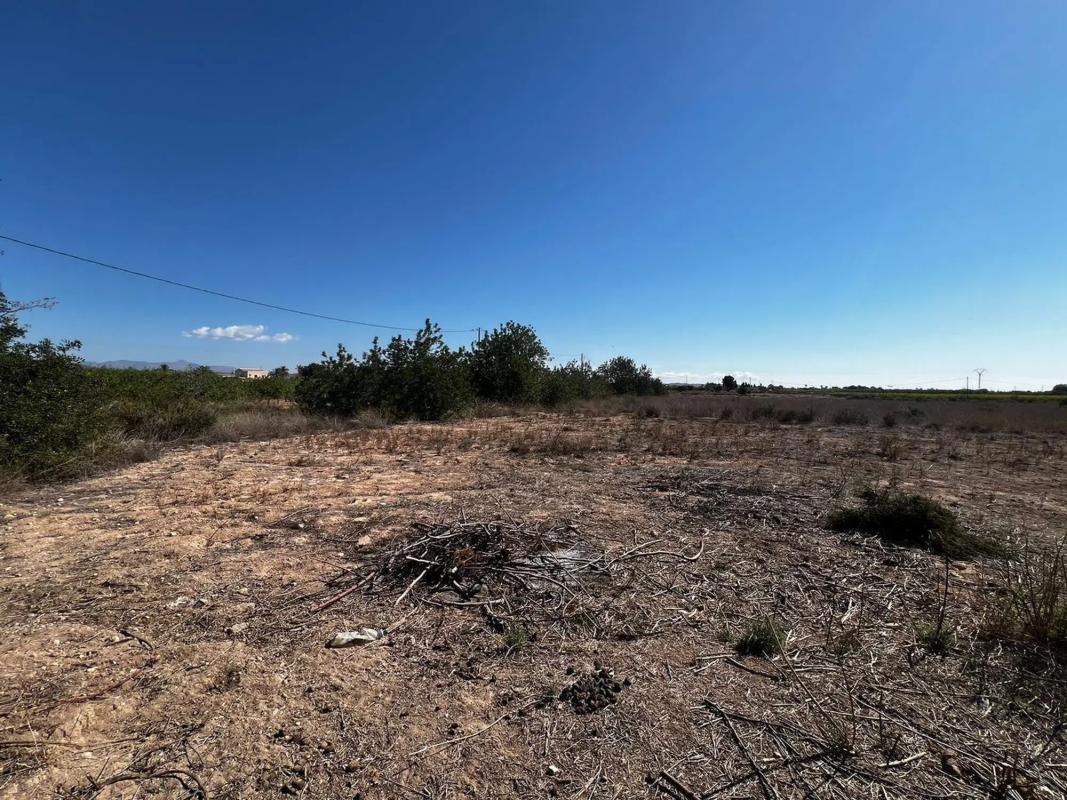 Land for sale in Elche / Elx, Alicante photo 2