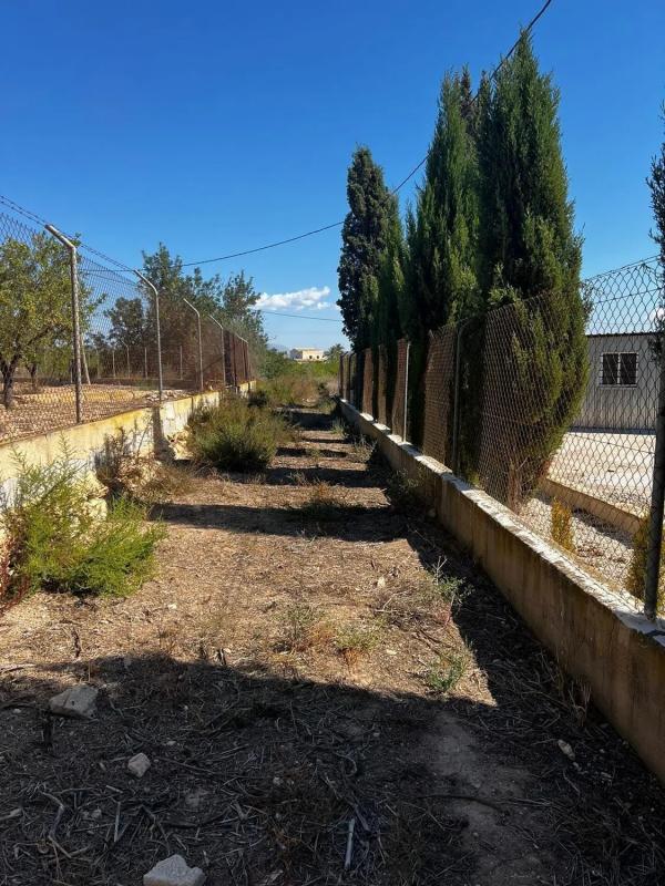 Land for sale in Elche / Elx, Alicante photo 4