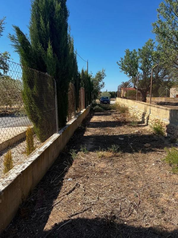 Land for sale in Elche / Elx, Alicante photo 5