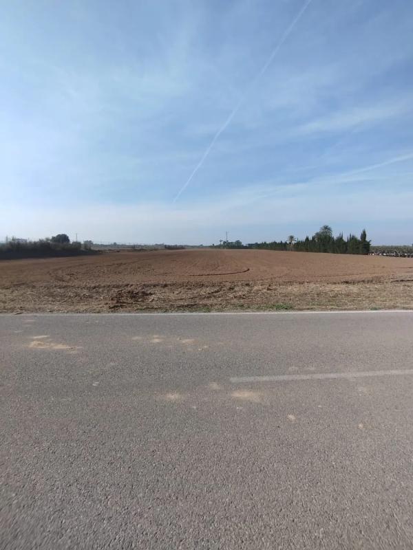 Terreno en venta en Elche / Elx, Alicante photo 1