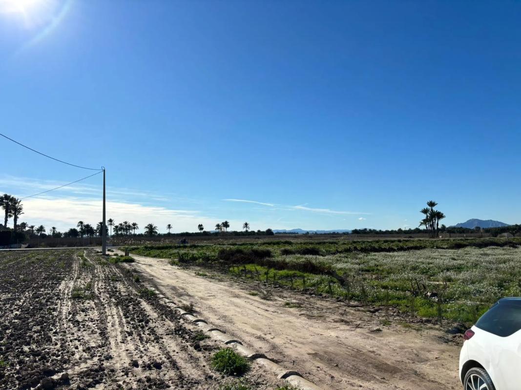 Terreno en venta en Elche / Elx, Alicante photo 1