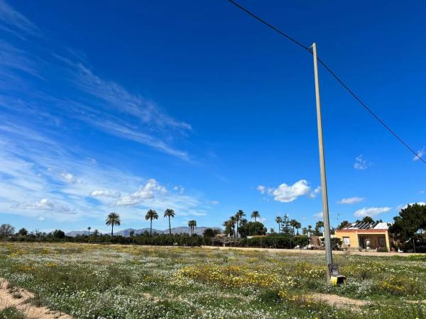 Terreno en Cv-855 photo 2