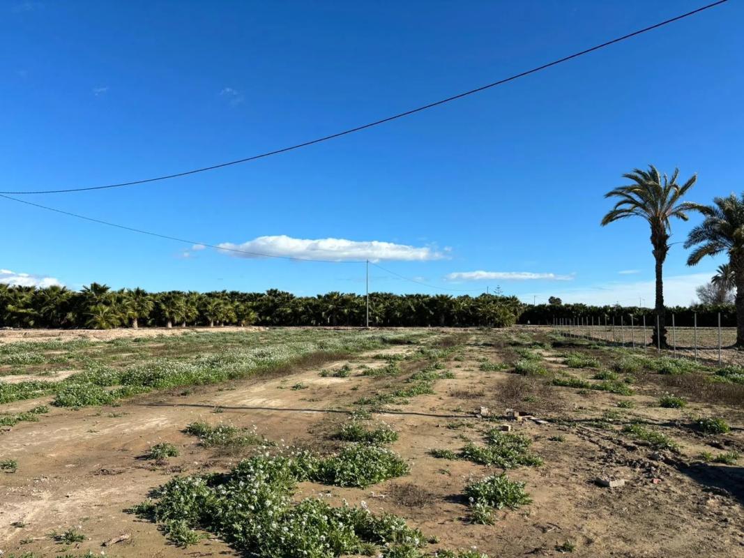 Terreno en venta en Elche / Elx, Alicante photo 4