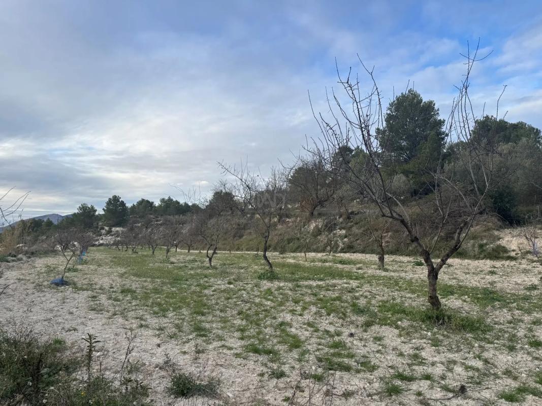 Land for sale in Benimarfull, Alicante photo 1