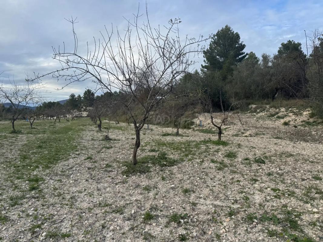 Land for sale in Benimarfull, Alicante photo 2