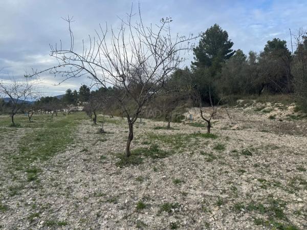 Terreno en Benimarfull photo 2
