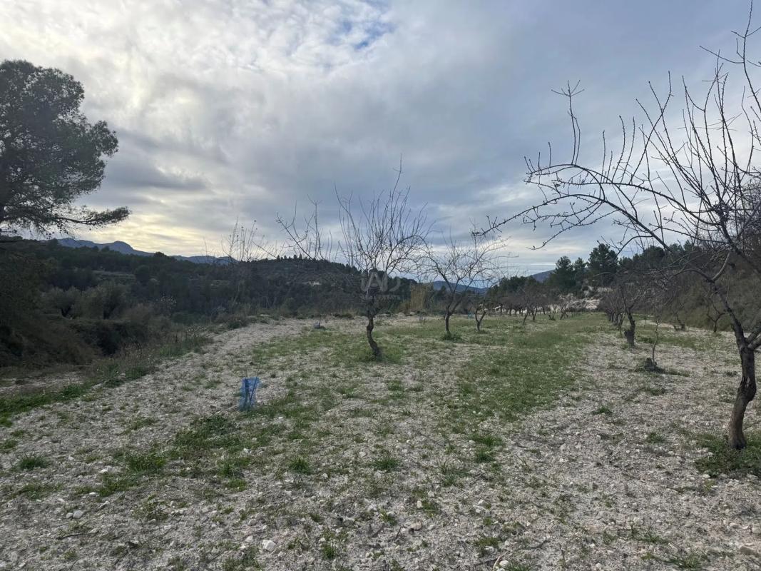 Land for sale in Benimarfull, Alicante photo 4