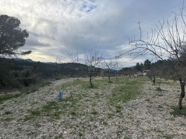 Terreno en Benimarfull photo 4