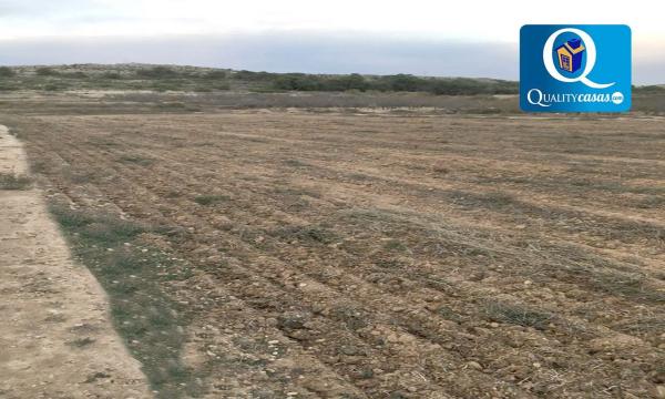 Terreno en Barrio Ciudad de Asís - Font-Calent - El Bacarot photo 1