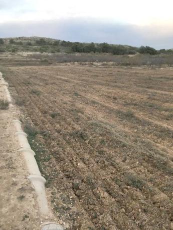 Terreno en Barrio Ciudad de Asís - Font-Calent - El Bacarot photo 3