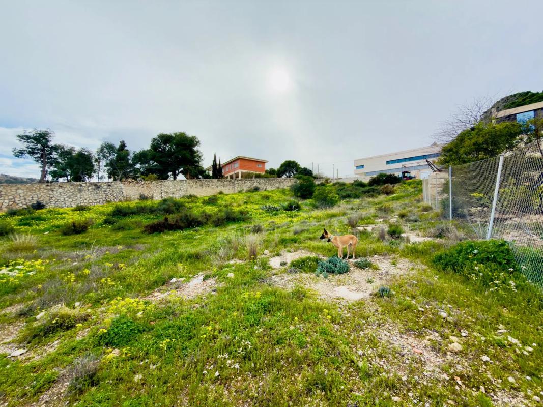 Land for sale in Alicante, Alicante photo 3