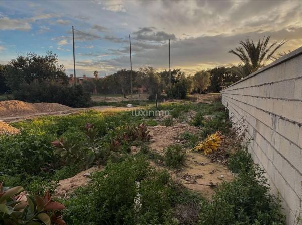 Terreno en Barrio Alicante Golf thumbnail 2