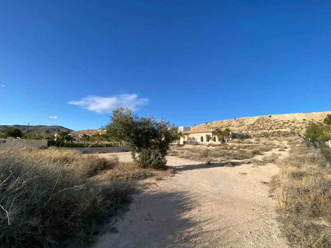 Terreno en venta en Alicante / Alacant, Alicante photo 3