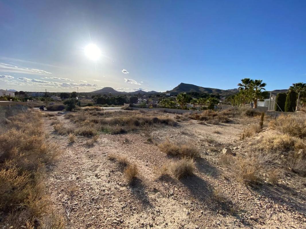 Terreno en venta en Alicante / Alacant, Alicante photo 5