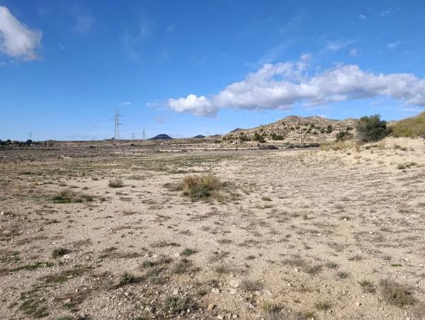 Terreno en Busot photo 4