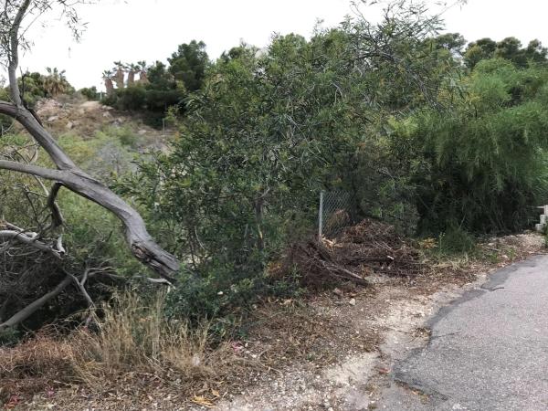 Terreno en Pueblo Español - Coveta Fumá photo