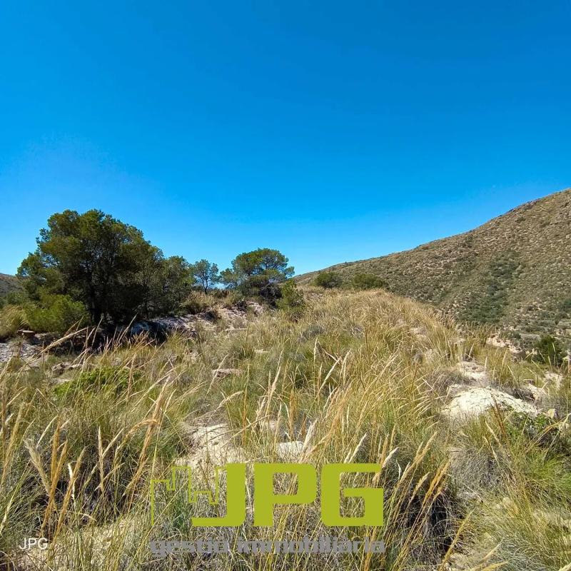 Land for sale in El Campello, Alicante photo 2