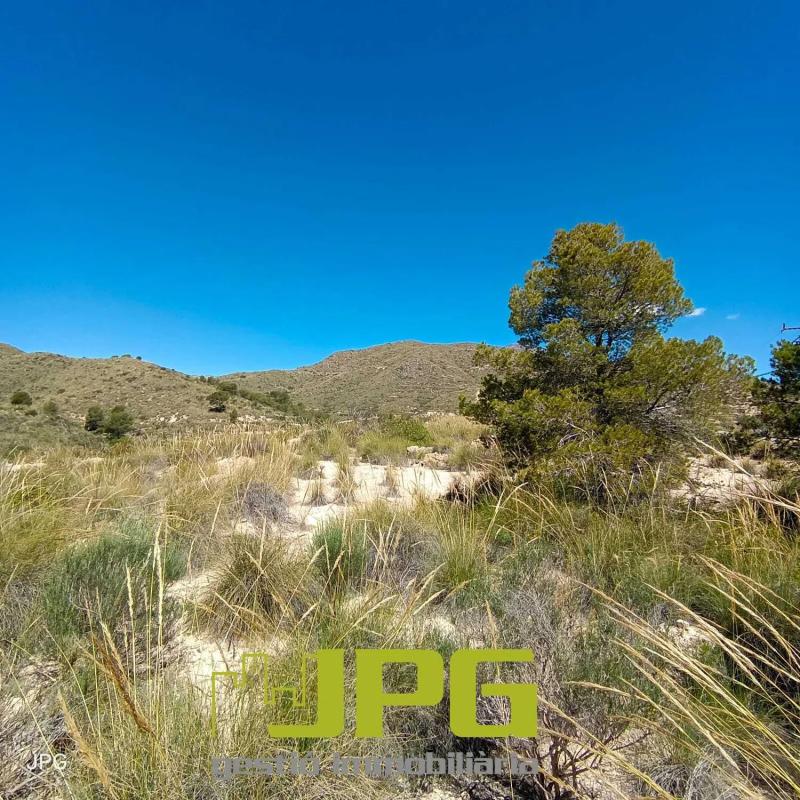 Land for sale in El Campello, Alicante photo 5