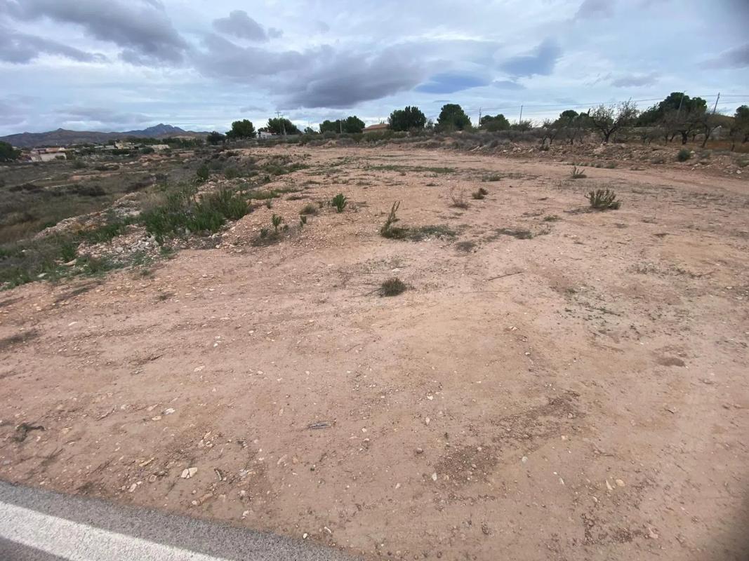 Terreno en venta en Moralet, Alicante photo 3