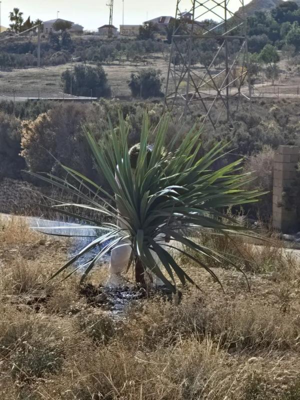 Terreno en venta en Mutxamel, Alicante photo 1
