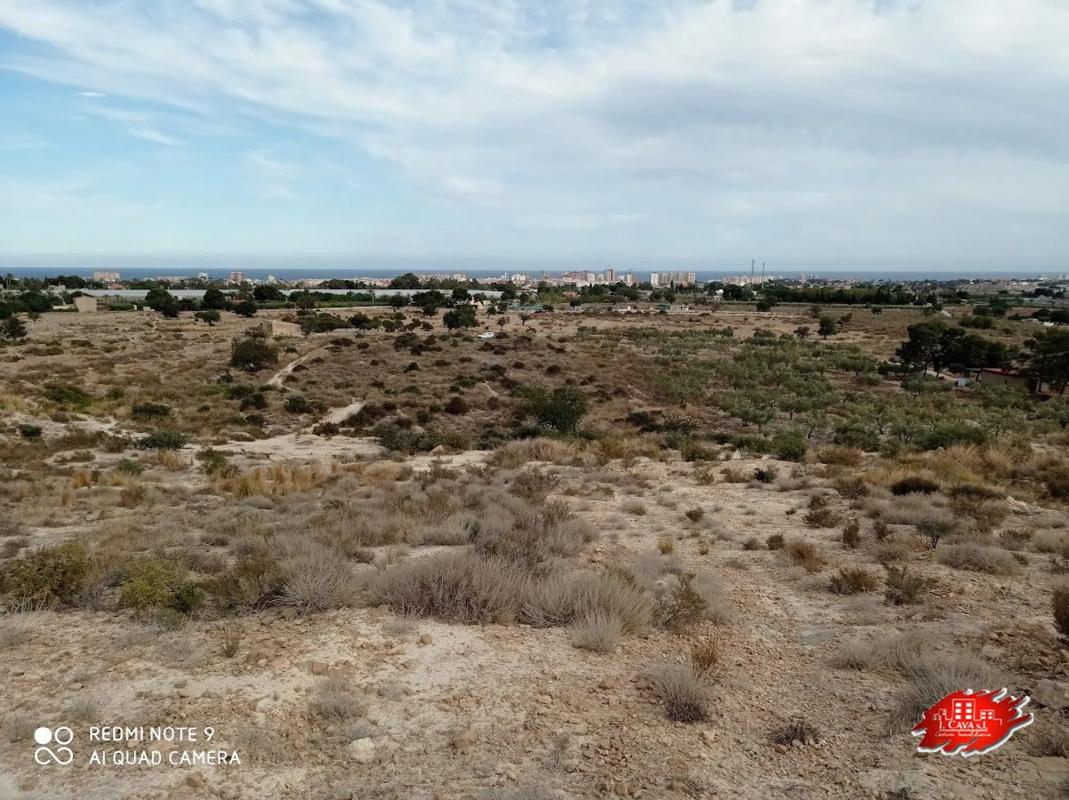 Terreno en venta en Mutxamel, Alicante photo 3