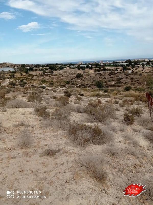 Terreno en venta en Mutxamel, Alicante photo 5