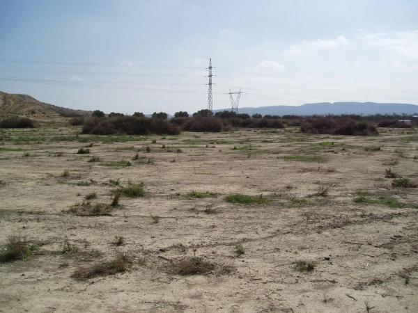 Terreno en Ballestera photo 3
