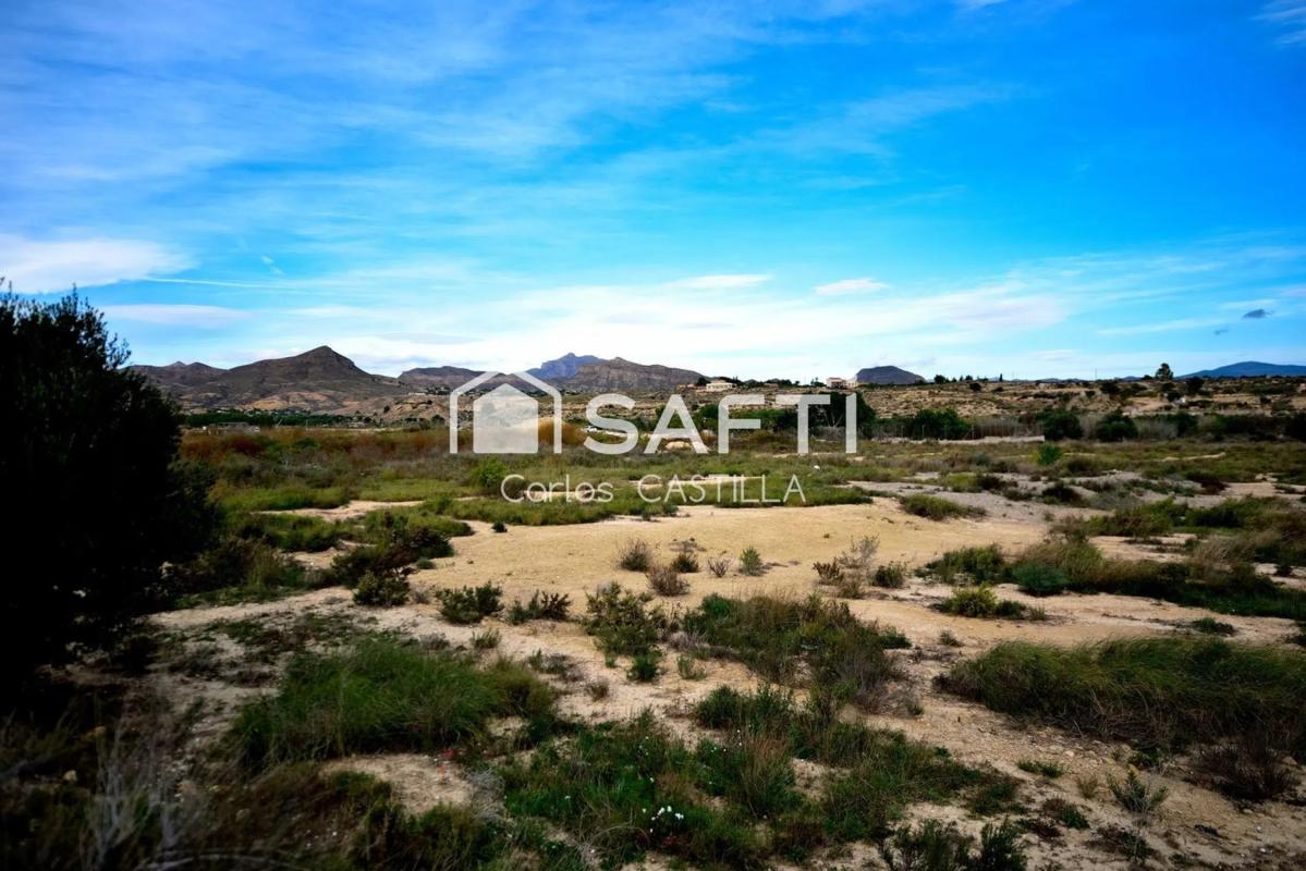 Terreno en venta en San Vicente del Raspeig, Alicante photo 1