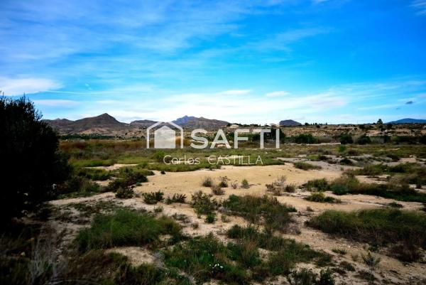 Terreno en calle la Carrasqueta photo 1