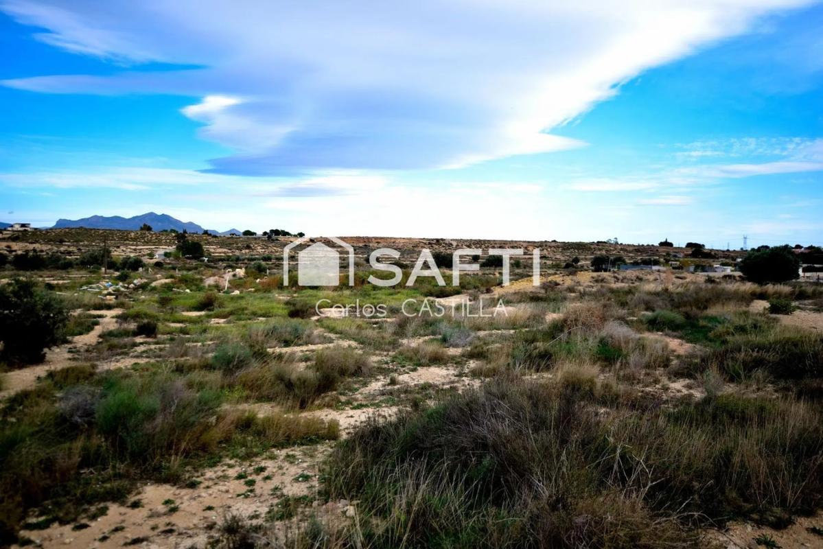 Terreno en venta en San Vicente del Raspeig, Alicante photo 5