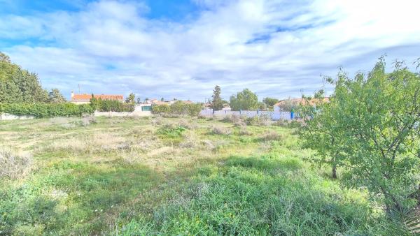 Terreno en calle Limoneros, 9 photo 4