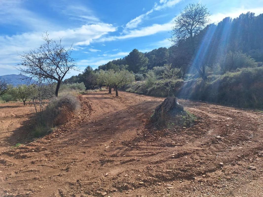 Land for sale in Castalla, Alicante photo 1