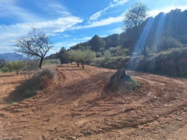 Terreno en Castalla photo 1