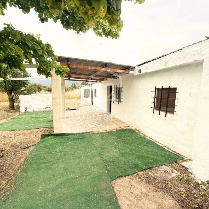 Land for sale in Castalla, Alicante photo 4