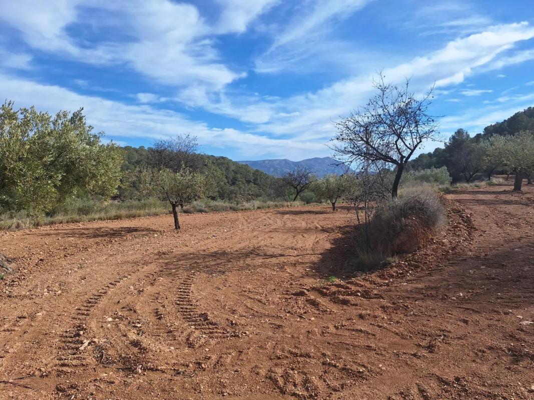 Land for sale in Castalla, Alicante photo 3