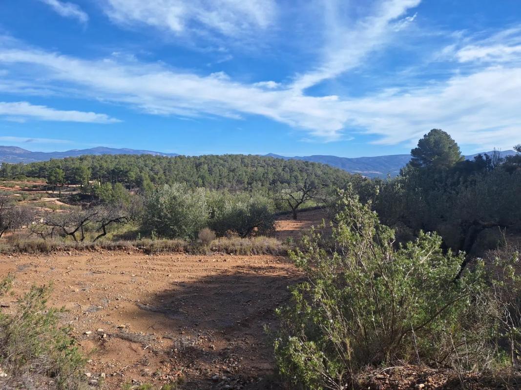 Land for sale in Castalla, Alicante photo 4