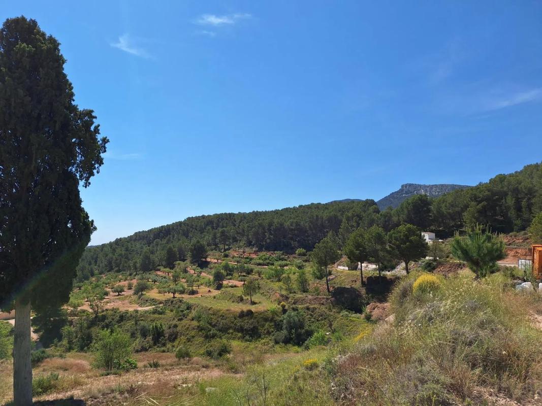 Land for sale in Castalla, Alicante photo 5