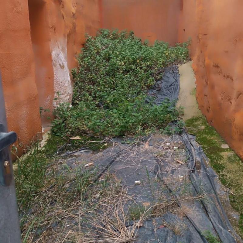 Działka na sprzedaż w Castalla, Alicante photo 2