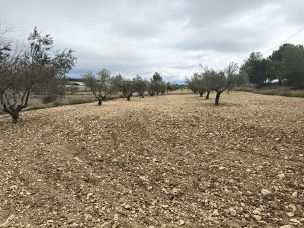 Terreno en Castalla photo 1