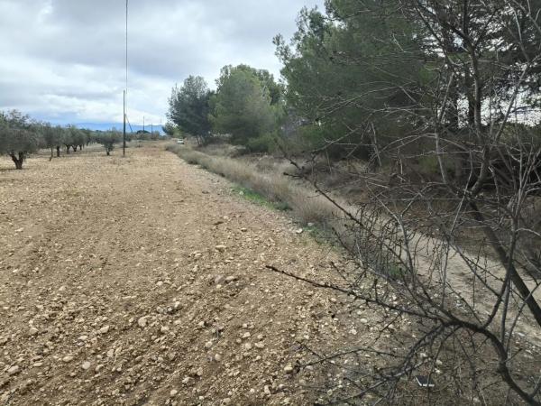 Terreno en Castalla photo 3