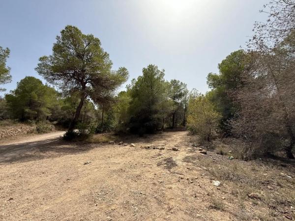 Terreno en L'Assagador photo 3