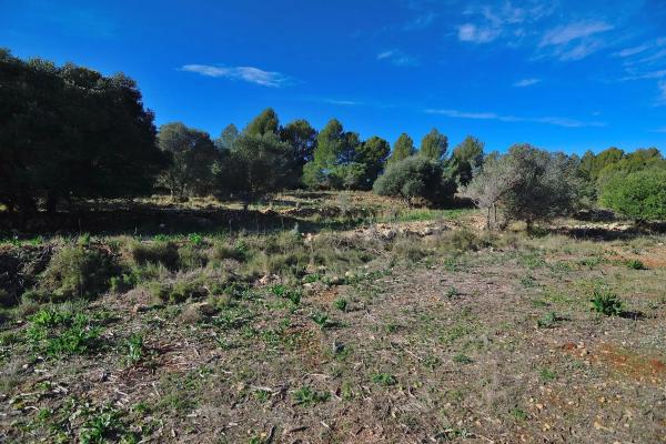 Terreno en camino Vell de Xaló photo 1