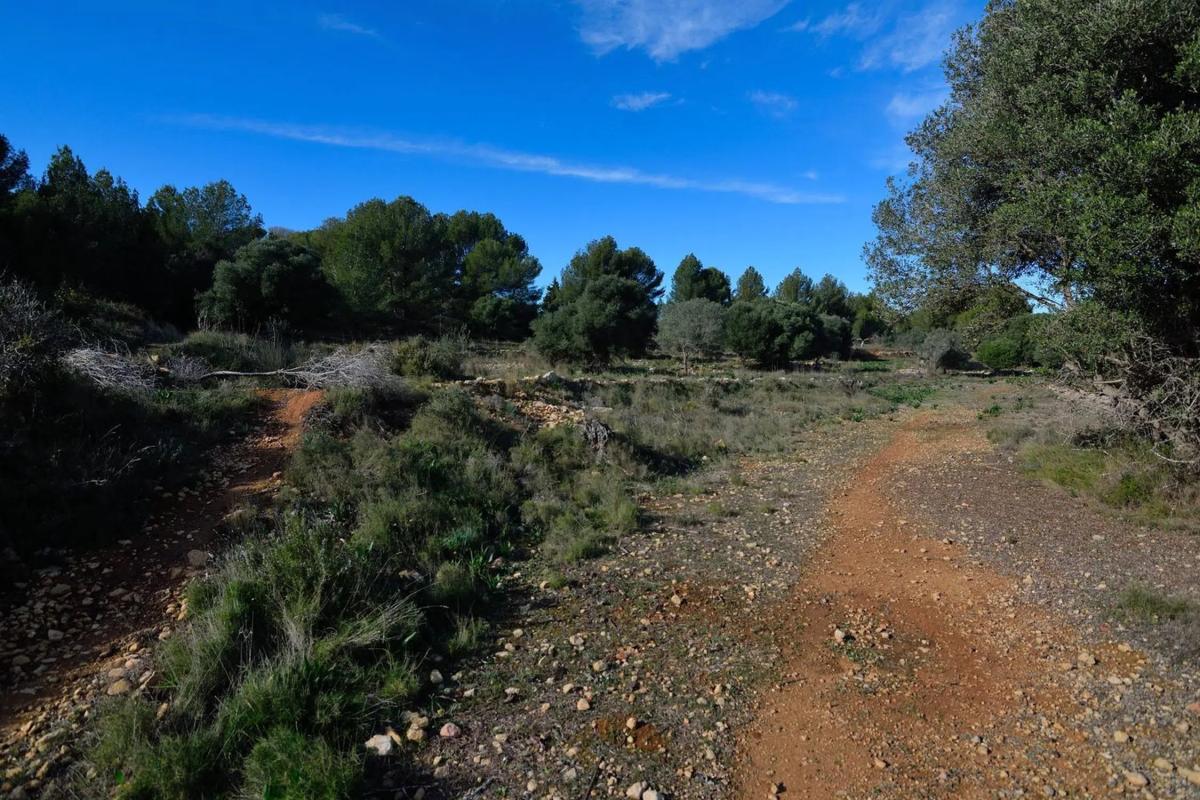 Terreno en venta en Benissa, Alicante photo 2