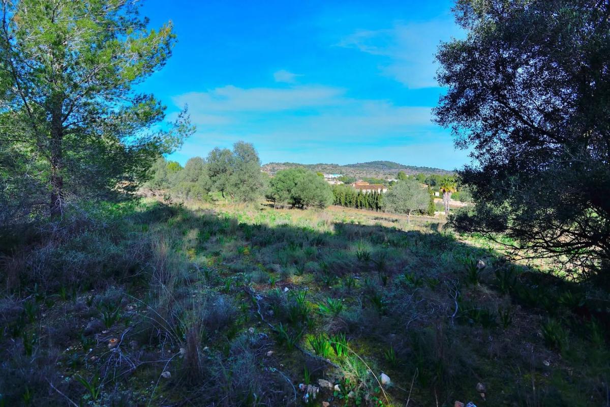 Terreno en venta en Benissa, Alicante photo 4