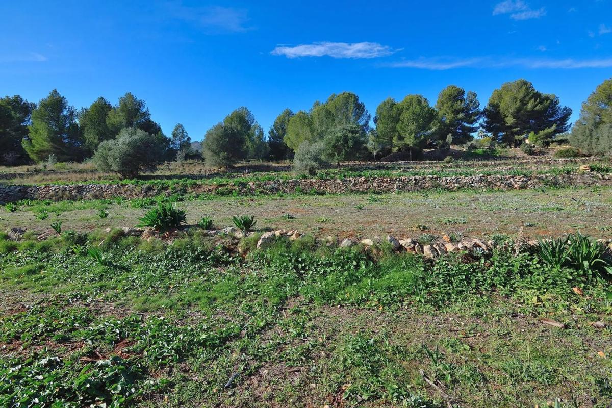 Terreno en venta en Benissa, Alicante photo 5