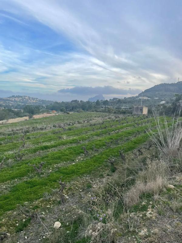 Terreno en venta en Benissa, Alicante photo 4