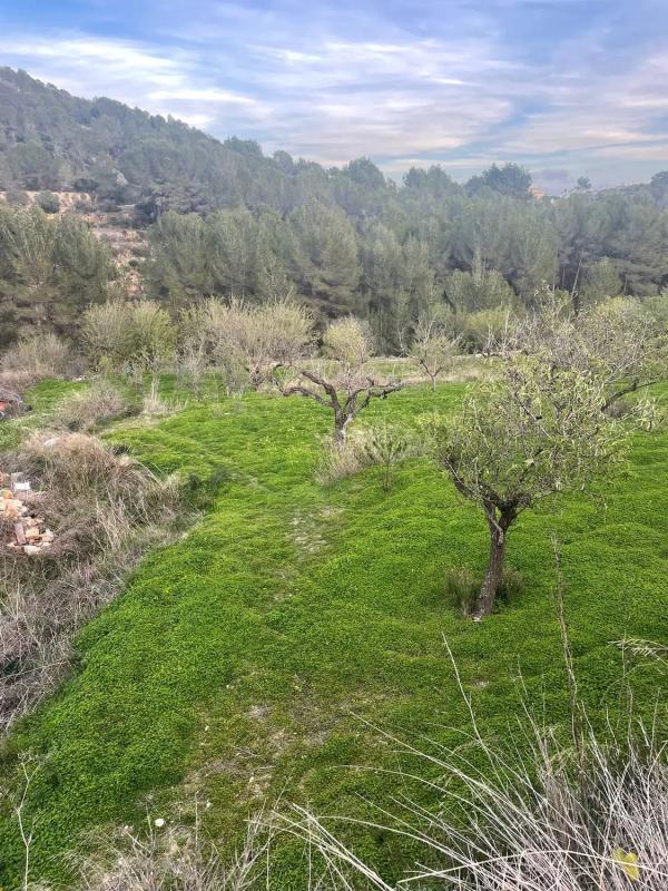 Terreno en venta en Benissa, Alicante photo 5