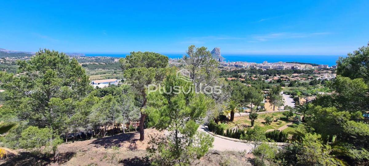Terreno en venta en Calpe, Alicante photo 3